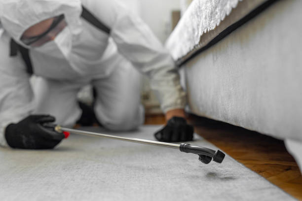 Professional Bed Bug Control technician working in Pickens, MS